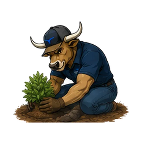 Buck planting — a spring service